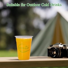998 Compostable 9oz Cups, Plant-Based PLA Cold Cups, Party/Office Bulk
