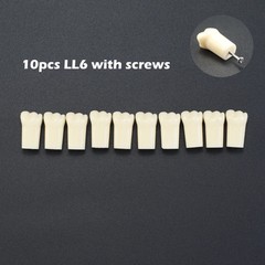 Kilgore NISSIN 200 Dental Typodont Individual Teeth Replacement for 32 Teeth