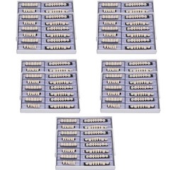 840Pc Dental Acrylic Resin Denture 24# A2 Full Set Teeth Upper Lower Shade Tooth