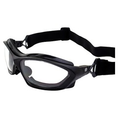 Birdz Eyewear Canopy Padded Motorcycle Sunglasses Riding Safety Glasses ANSI