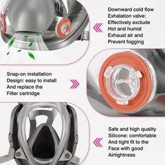Full Face Respirator with 60926 Filters