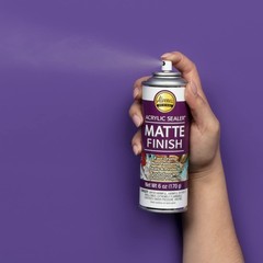 Aleene’s Spray Finish 6oz Acrylic Sealer, 6 Ounce (Pack 6 OZ, Clear – Matte