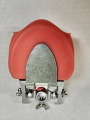 Nissin Dental Model, PRO2002-UL-SP-DPM-OB- Teeth & Gums Made In Japan Kilgore