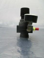 Amflo 4125A Standard Air Line Regulator w/ Wika Gauge, 110111