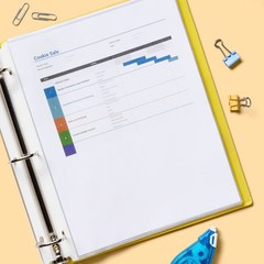 25ct Heavy-Duty Sheet Protectors Clear