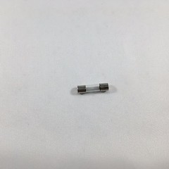 LOT OF 10 2A 250V Quick Blow F2AL250V 2 Amp Fast Blow FUSE 5mm x 20mm
