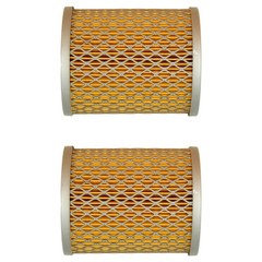 Two Pack Oil Filters Fits John Deere M MT 40 320 330 420 430 1010