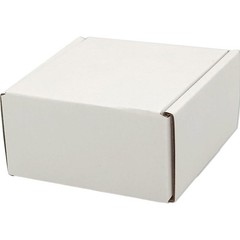 100 Pack 4x4x2 Inch White Corrugated Cardboard Small Shipping Mailer Box