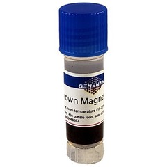 GeneNano Silica Brown Magnetic beads about 300 nm for DNA/RNA extraction