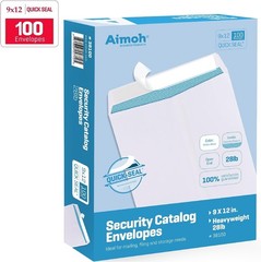 100 Count 9×12 Security Tinted Catalog Envelopes – Reliable Mailing Solution
