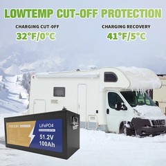 48V 100Ah LiFePO4 Lithium Golf Cart Battery with BMS Protection for Motor RV