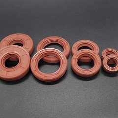 Oil Seal Metric Size Rotary Shaft Seal 22 to 26mm Inner diameter FKM Rubber 70