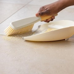Daily Sweep Dustpan & Brush Set with Rubber Edge Built-in Lint Comb Bamboo