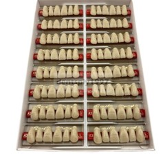 16sets Dental Acrylic Resin Upper Anterior False Teeth Two Layer 20HD Denture