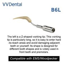 Ultrasonic Dental Scaler Tip Cleaning Implant Dental Orthodontic Teeth Dentures