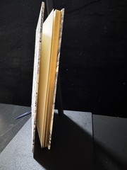 Christian Dior Notebook NEW Journal novelty GWP