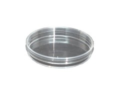 Petri Dishes w/ Lids 100mm x 15mm, 20 Pack, Sterilized, Polystyrene – Heavy Duty