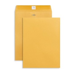 Blue Summit Supplies 100 9” x 12” Clasp Envelopes with Gummed 9 x 12, Brown