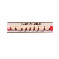 1Pks Dental Acrylic Resin Teeth Denture Replacement’s Upper Lower Shade A1/A2/A3