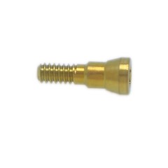 US Dental Healing Cap Screw Compatible with Straumann NC/RC CrossFit Implant Sys