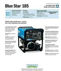 Miller Blue Star 185 Engine-Driven Welder / Generator 907664