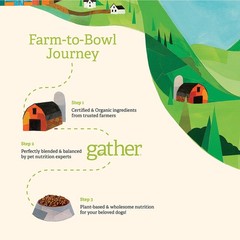 Gather Endless Valley Vegan Dry Dog Food Grains Healthy Plant-Based Kibble Made