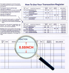 Larger Lines 20 Pack Checkbook Register, Check Registers for Personal Use, Bl…