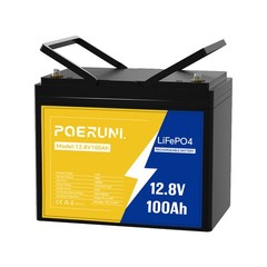 12V 100Ah LiFePO4 Lithium Battery Built-in BMS Cycle Deep for Solar RV Off-grid
