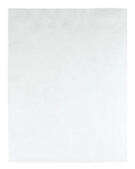Tyvek 10 x 13 Catalog Envelopes 100 Count Moisture Resistant with Redi Strip …