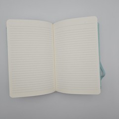 Martha Stewart Shagreen Journal 5.5×8.5 inches with 212 lined pages