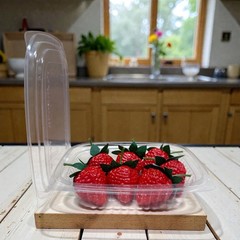 CONTAINER CLEAR 8oz Plastic with Lid Versa Pak H58WN-1 400ct