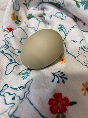 12+ ALOHA CHICKEN HATCHING EGGS
