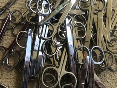 Operating Medical 4.5 inch blunt Scissors, Lot of 50