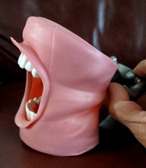 ModuPRO Dental Hygiene Plus MP-DH520_O ACADENTAL Typodont Dental Student Model