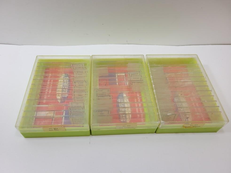 Vintage Paracraft Prepared Microscope Slides Sets 401 403 404 Sea Life Insect