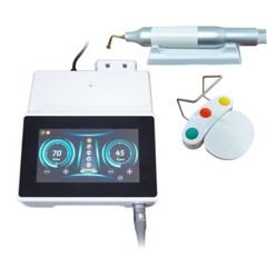 Dental Wireless Cordless LED Curing Light Composite Resin Cure Lamp 2000mw USA