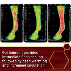 Vita Flex Thermaflex Liniment Gel for Sore Muscles and Joint Relief in Horses…
