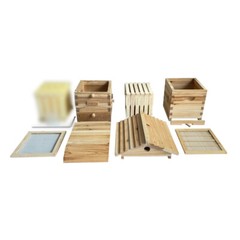 Auto Shed Full Set 10 X Beehive Honey Hive Frame +Mini Beekeeping Brood Box