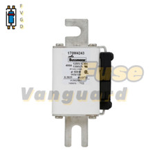 1PC Eaton BUSSMANN 170M4243 400A 1250V Fuse