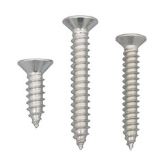 550Piece 304 Stainless Steel Wood Screws Assortment Kit Phillips Flat Head Sheet