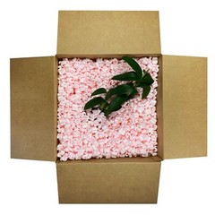 UOFFICE Anti Static Packing Peanuts – 3.5 cuft. Industrial Shipping Void Fill