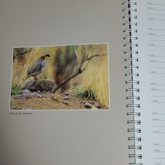 New: Images of Nature Address Book, Featuring Photos by Thomas Mangelsen