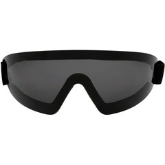 Birdz Eyewear Wing Skydiving & Sports Padded Riding Goggles Black Frame Smoke