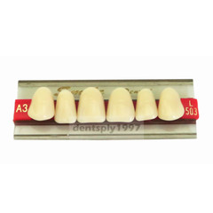 16sets Dental Acrylic Resin Upper Anterior False Teeth Two Layer 20HD Denture