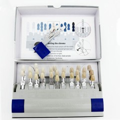 Dental VITA Toothguide 3D Master Shade System with Bleached Shade Guide 29 Color