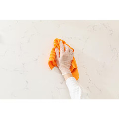 Clear Disposable Vinyl Cleaning Gloves (200 Ct One Size Fits Most)