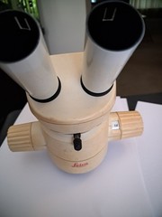 Leica MS5 Stereoscope