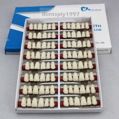 16sets Dental Acrylic Resin Upper Anterior False Teeth Two Layer 20HD Denture