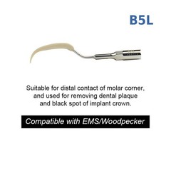 Ultrasonic Dental Scaler Tip Cleaning Implant Dental Orthodontic Teeth Dentures