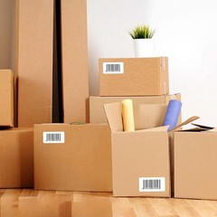 3″ x 1″ Direct Thermal Shipping Barcode FBA Labels 1375/Roll for Rollo & Zebra